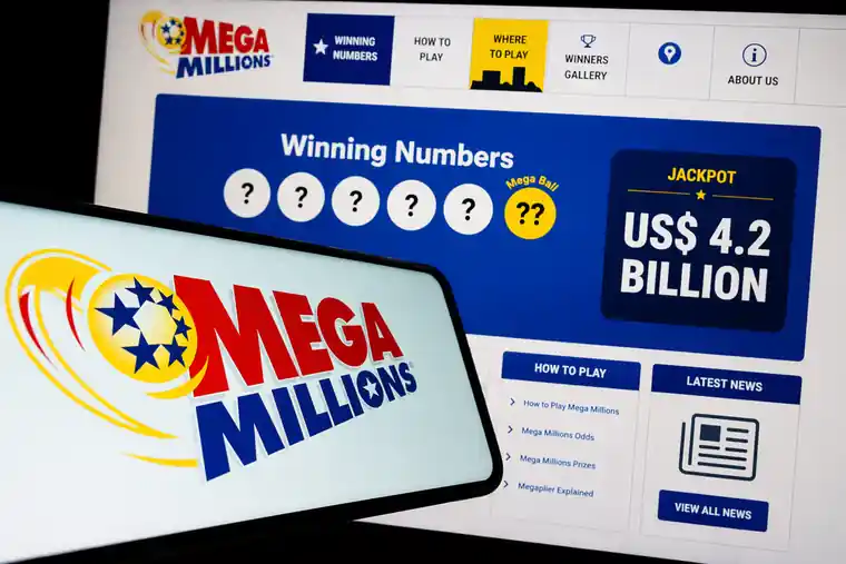 Mega Millions online entry example on mobile